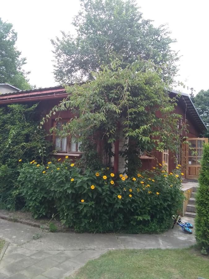 Дома для отпуска Dankowska Dolina Danków
